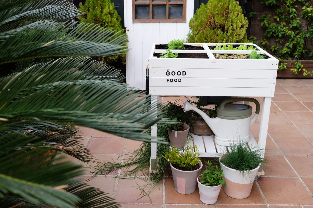 Cómo preparar un huerto urbano en tu terraza o patio